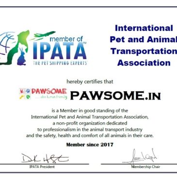 PAWSOME is now a member of IPATA!