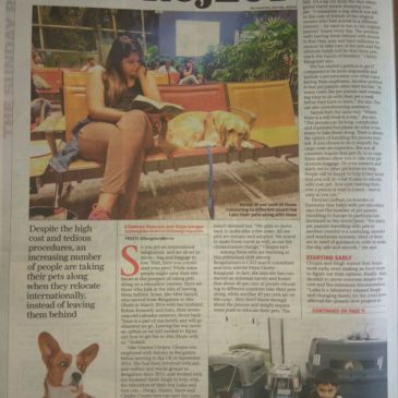 Pawsome featured in Bangalore Mirror