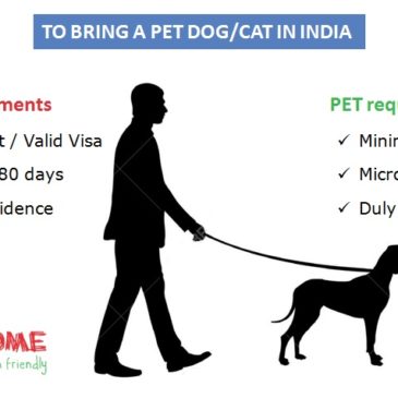 To bring a Pet (Dog/Cat) to India